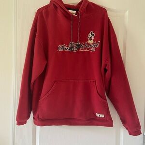 Vintage Walt Disney World hoodie
